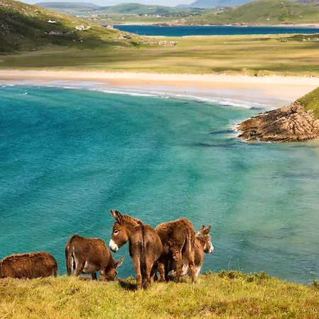 فندق Station House 3*